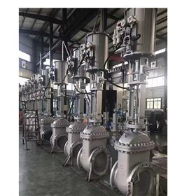 气动双闸板美标闸阀