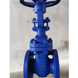 Z41Y-PN16德标F4闸阀